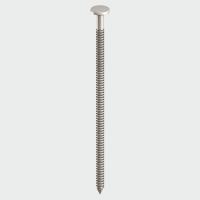 Stainless Steel Loose Nails
